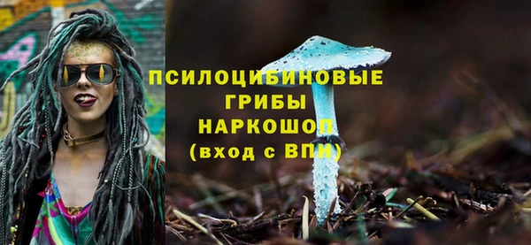 СК Михайловка